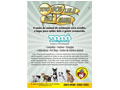 Cartaz formato A3